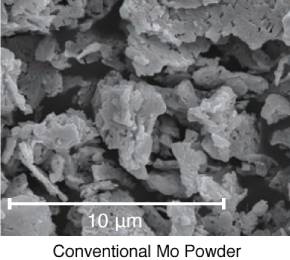 Molybdenum powder1