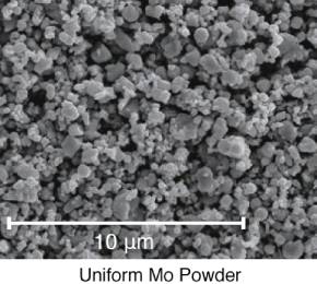 Molybdenum powder2