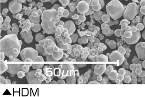 High density molybdenum powder
